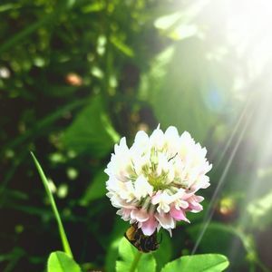 Meet your Posher, Jo-ann